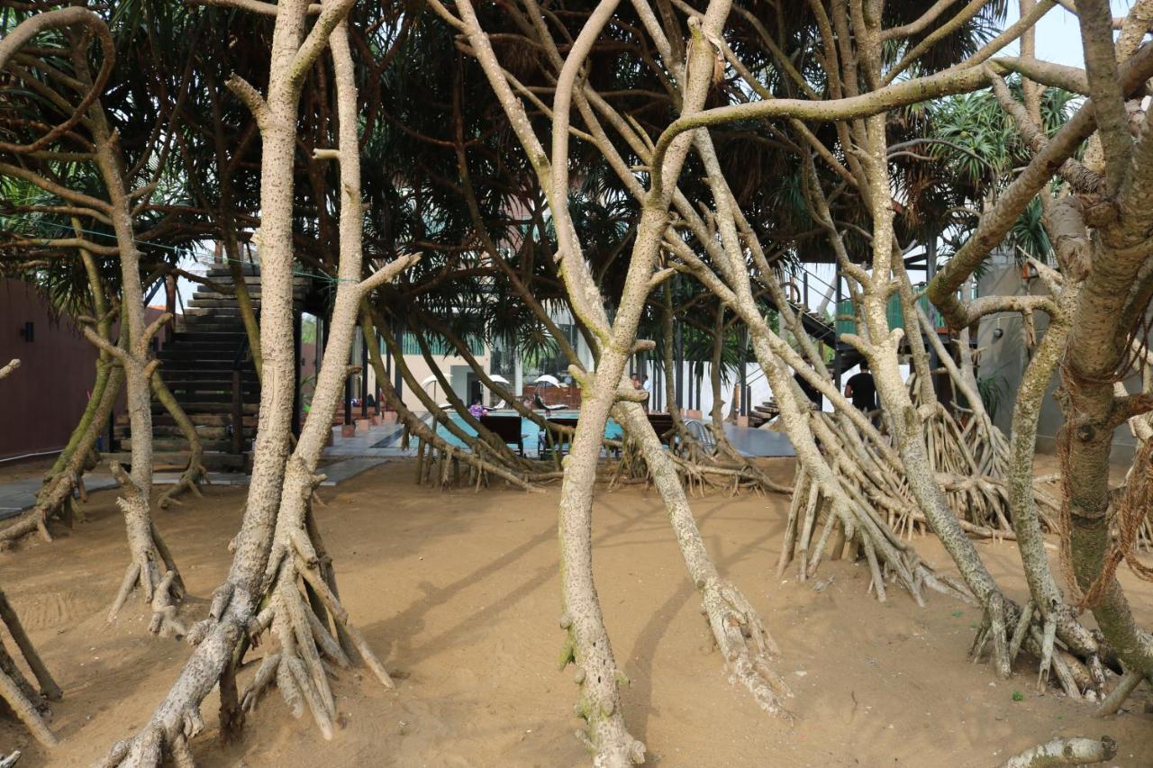 Saprin Beach Resort Uswetakeiyawa Kültér fotó